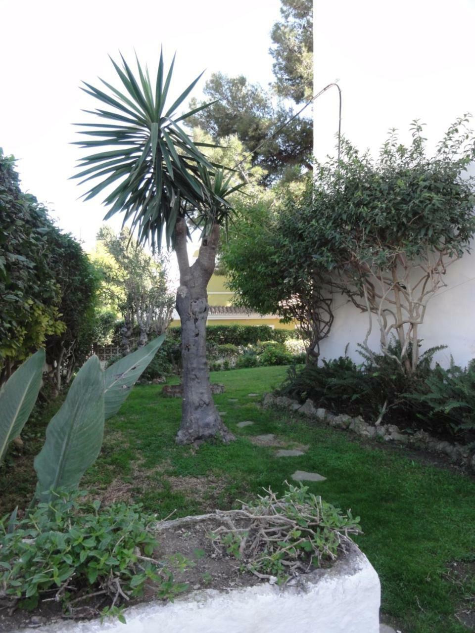 טורמולינוס Apartamentos Elysium מראה חיצוני תמונה